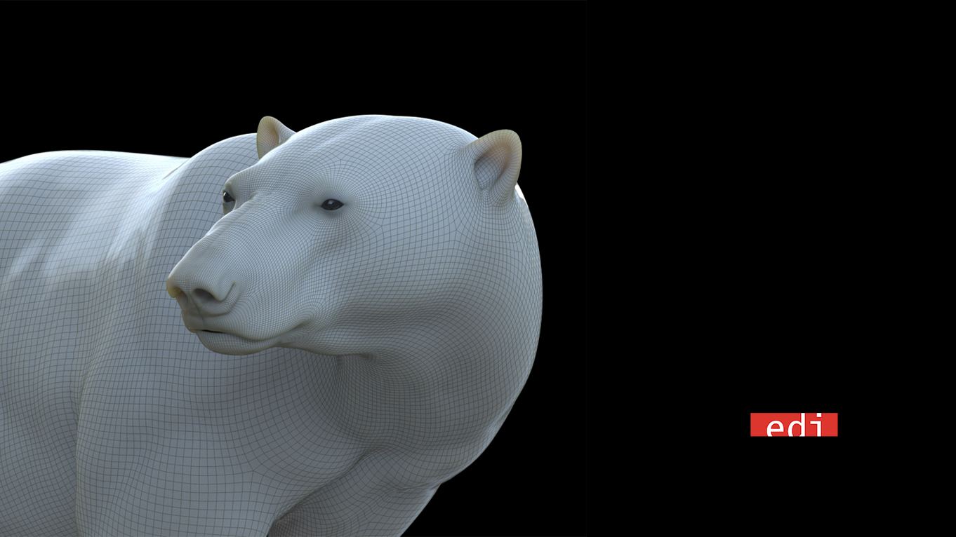 Muccino for WWF a production to save the polar bear